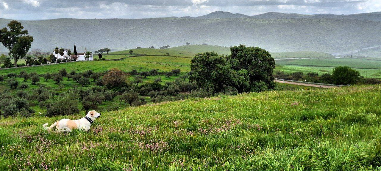Finca la Candela, Valverde de Burguillos
